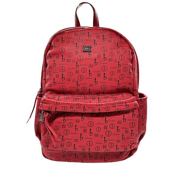 Large backpack