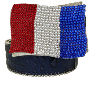 France Flag